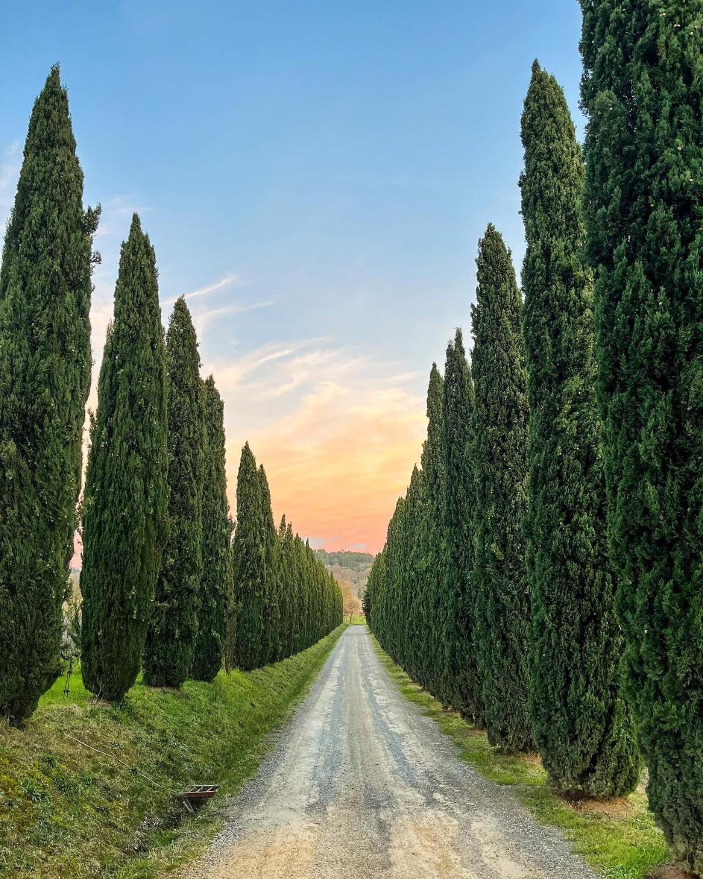 Villa Fattoria Fibbiano à Terricciola Extérieur photo